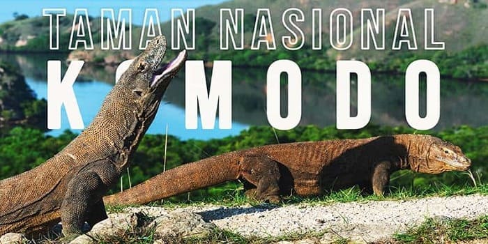 Pulau Komodo